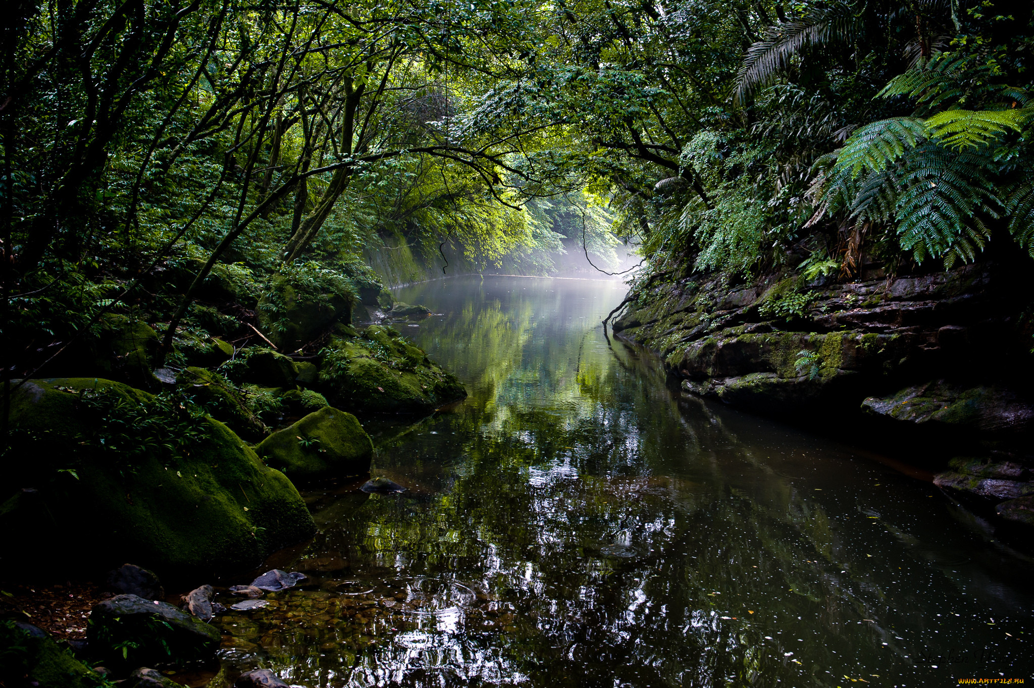 Амазонка дика природа. Тропический лес. Река в джунглях. Природа джунгли. Тропическая река.